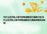 为什么在手机上看不到电视剧花灯满城介绍(为什么在手机上看不到电视剧花灯满城详细情况如何)