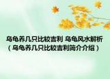乌龟养几只比较吉利 乌龟风水解析（乌龟养几只比较吉利简介介绍）