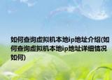 如何查询虚拟机本地ip地址介绍(如何查询虚拟机本地ip地址详细情况如何)