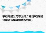 宇石网络公司怎么样介绍(宇石网络公司怎么样详细情况如何)
