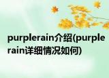 purplerain介绍(purplerain详细情况如何)