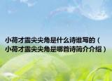 小荷才露尖尖角是什么诗谁写的（小荷才露尖尖角是哪首诗简介介绍）