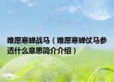 唯愿寒蝉战马（唯愿寒蝉仗马参透什么意思简介介绍）