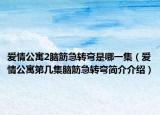 爱情公寓2脑筋急转弯是哪一集（爱情公寓第几集脑筋急转弯简介介绍）