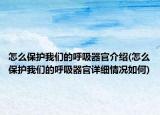 怎么保护我们的呼吸器官介绍(怎么保护我们的呼吸器官详细情况如何)