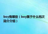 boy有哪些（boy属于什么档次简介介绍）