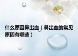 什么原因鼻出血（鼻出血的常见原因有哪些）