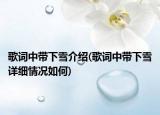 歌词中带下雪介绍(歌词中带下雪详细情况如何)