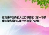 像我这样优秀的人出自哪首歌（第一句像我这样优秀的人是什么歌简介介绍）