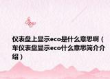 仪表盘上显示eco是什么意思啊（车仪表盘显示eco什么意思简介介绍）