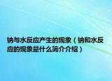 钠与水反应产生的现象（钠和水反应的现象是什么简介介绍）