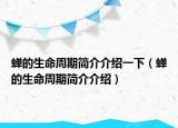 蝉的生命周期简介介绍一下（蝉的生命周期简介介绍）
