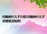 约翰纳什儿子介绍(约翰纳什儿子详细情况如何)