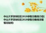 中山大学深圳校区2019录取分数线介绍(中山大学深圳校区2019录取分数线详细情况如何)
