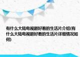 有什么大陆电视剧好看的生活片介绍(有什么大陆电视剧好看的生活片详细情况如何)
