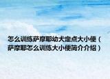 怎么训练萨摩耶幼犬定点大小便（萨摩耶怎么训练大小便简介介绍）