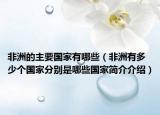 非洲的主要国家有哪些（非洲有多少个国家分别是哪些国家简介介绍）