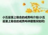 小五是至上励合的成员吗介绍(小五是至上励合的成员吗详细情况如何)