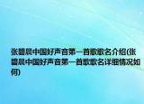 张碧晨中国好声音第一首歌歌名介绍(张碧晨中国好声音第一首歌歌名详细情况如何)