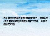 真爱诺言的结局喜鹊有没有和田丰在一起啊介绍(真爱诺言的结局喜鹊有没有和田丰在一起啊详细情况如何)