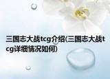 三国志大战tcg介绍(三国志大战tcg详细情况如何)
