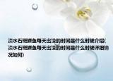 淡水石斑鳜鱼每天出没的时间是什么时候介绍(淡水石斑鳜鱼每天出没的时间是什么时候详细情况如何)
