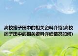 高校痞子田中的相关资料介绍(高校痞子田中的相关资料详细情况如何)