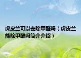 虎皮兰可以去除甲醛吗（虎皮兰能除甲醛吗简介介绍）