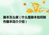 脚本怎么做（什么是脚本如何制作脚本简介介绍）