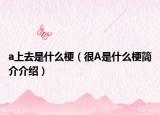 a上去是什么梗（很A是什么梗简介介绍）