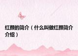 红颜的简介（什么叫做红颜简介介绍）