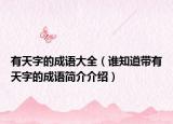 有天字的成语大全（谁知道带有天字的成语简介介绍）