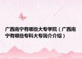 广西南宁有哪些大专学院（广西南宁有哪些专科大专简介介绍）