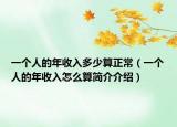 一个人的年收入多少算正常（一个人的年收入怎么算简介介绍）