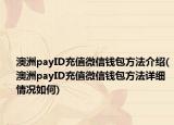 澳洲payID充值微信钱包方法介绍(澳洲payID充值微信钱包方法详细情况如何)