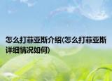 怎么打菲亚斯介绍(怎么打菲亚斯详细情况如何)