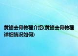 黄鳝去骨教程介绍(黄鳝去骨教程详细情况如何)