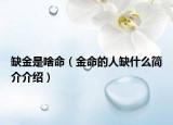 缺金是啥命（金命的人缺什么简介介绍）