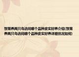 想笼养两只鸟请问哪个品种皮实好养介绍(想笼养两只鸟请问哪个品种皮实好养详细情况如何)