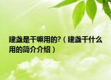 建盏是干嘛用的?（建盏干什么用的简介介绍）