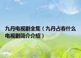 九丹电视剧全集（九丹占春什么电视剧简介介绍）