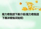 隆力奇集团下属介绍(隆力奇集团下属详细情况如何)