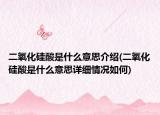 二氧化硅酸是什么意思介绍(二氧化硅酸是什么意思详细情况如何)