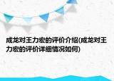 成龙对王力宏的评价介绍(成龙对王力宏的评价详细情况如何)
