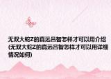 无双大蛇Z的真远吕智怎样才可以用介绍(无双大蛇Z的真远吕智怎样才可以用详细情况如何)