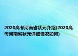 2020高考河南省状元介绍(2020高考河南省状元详细情况如何)