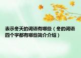 表示冬天的词语有哪些（冬的词语四个字都有哪些简介介绍）