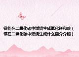 镁能在二氧化碳中燃烧生成氧化镁和碳（镁在二氧化碳中燃烧生成什么简介介绍）