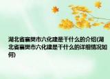 湖北省襄樊市六化建是干什么的介绍(湖北省襄樊市六化建是干什么的详细情况如何)