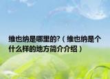 维也纳是哪里的?（维也纳是个什么样的地方简介介绍）